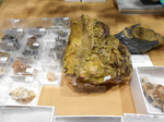 FEM. MINERALIA´s SEVILLA. II Exposición-Bolsa Internacinal de Minerales, Fósiles y Gemas