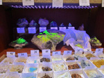 FEM. MINERALIA´s SEVILLA. II Exposición-Bolsa Internacinal de Minerales, Fósiles y Gemas