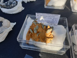 VI Feria de Minerales de Cartama 