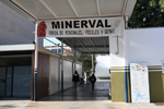 MINERVAL 2024