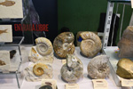 III Feria internacional de Minerales, Fósiles y gemas. Utrillas. 