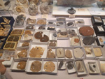 III Feria internacional de Minerales, Fósiles y gemas. Utrillas.