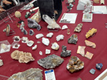 III Feria internacional de Minerales, Fósiles y gemas. Utrillas. 