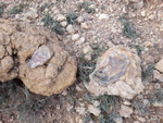 III Feria internacional de Minerales, Fósiles y gemas. Utrillas. 