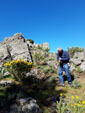 Grupo Mineralogista de Madrid. Sierra Norte. Puerto Cardoso  