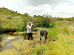 Arroyo Fresnedoso