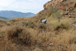 Cantera Minerama - Cerro Moreno - Puentetablas - Jaén 