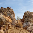 Cantera Minerama - Cerro Moreno - Puentetablas - Jaén