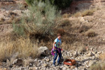   Cantera Minerama - Cerro Moreno - Puentetablas - Jaén