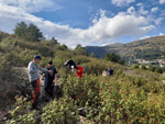 Excusión de mineralogía a Mina de plata de Bustarviejo