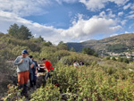 Excusión de mineralogía a Mina de plata de Bustarviejo