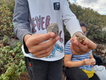 Excusión de mineralogía a Mina de plata de Bustarviejo