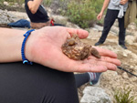 Excusión de mineralogía a Mina de plata de Bustarviejo