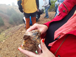 Excusión de mineralogía a Mina de plata de Bustarviejo