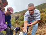 Excusión de mineralogía a Mina de plata de Bustarviejo