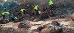 Excusión de mineralogía a Fuentes de Ebro. Zaragoza