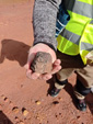 Excusión de mineralogía a Fuentes de Ebro. Zaragoza