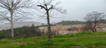 Excusión de mineralogía a Fuentes de Ebro. Zaragoza