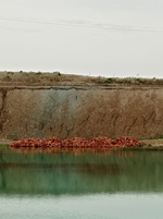 Excusión de mineralogía a Pantoja. Toledo.