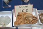 GMA. XVI Feria de Minerales y Fósiles de la Unión