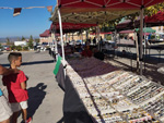 5ª Feria de Minerales de Cartama 