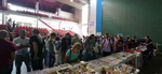 XI Feria de Minerales de Colmenar Viejo 