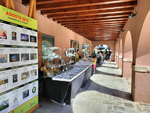 Feria de Minerales, Rocas y Fósiles de Sabero 2023 