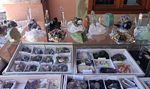 Feria de Minerales, Rocas y Fósiles de Sabero 2023 