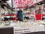 9ª Feira de Minerais. Santiago de Compostela