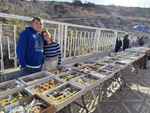 IX Mesa de Intercambio de Minerales y Fósiles de Alicante. 