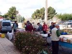 IX Mesa de Intercambio de Minerales y Fósiles de Alicante. 