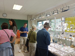 VI Feria de Minerales y Fósiles TORRELAVEGA