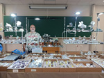 VI Feria de Minerales y Fósiles TORRELAVEGA