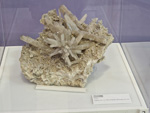 Exposición Tesoros de la Tierra. Minerales de la Comunidad Valenciana. Colección Juan Miguel Casanova Onrubia