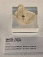 Exposición Tesoros de la Tierra. Minerales de la Comunidad Valenciana. Colección Juan Miguel Casanova Onrubia