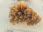 Exposición Tesoros de la Tierra. Minerales de la Comunidad Valenciana. Colección Juan Miguel Casanova Onrubia